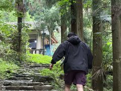 -天目山大树王景区