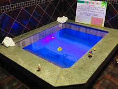 -御林汤泉