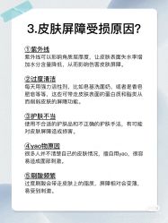 点击看大图 -玛莲朵·海菲秀冰珀科