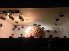 -北京三里屯CHAO酒店