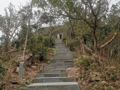 -梧桐山风景名胜区