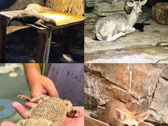 -绿色星球动物主题公园