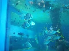 -北戴河圣蓝海洋公园