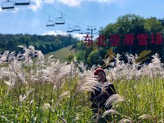 -东北亚滑雪场