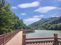 -桃花岭景区