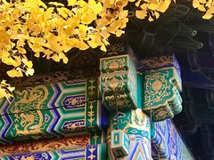 -红螺寺