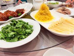 -丁老爷子苏香圆