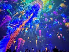 -海合安成都极地海洋公园
