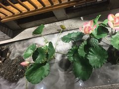 -紫腾大院·南京菜(江宁店)