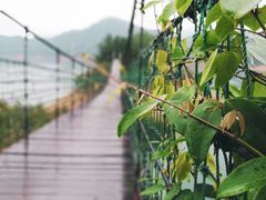 -云和湖仙宫景区