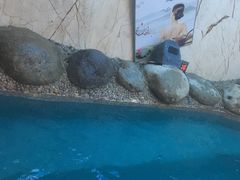 -沐槿宫韩式汗蒸水汇(马群店)