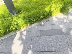 -海泰食府·新鲁菜·家宴(总部基地店)