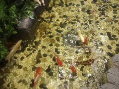 -一盃山水咖啡茶馆
