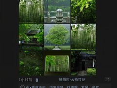 -西湖文化广场