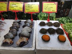 -蚝专家(北滘店)