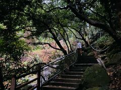 -火炉山森林公园
