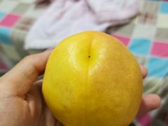 -东戴河风景区-止锚湾