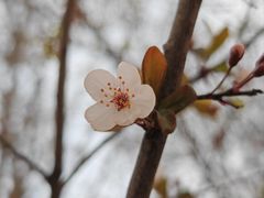 -水西公园