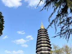 -红梅公园