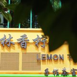🔥遍厦门的柠檬茶🍋来杭州啦❗️柠檬茶专营店你还不去喝❓