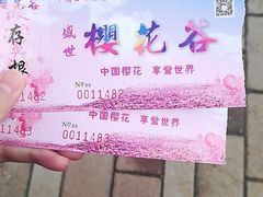 -绵阳盛世樱花悠乐谷