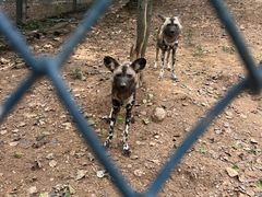 -大连森林动物园