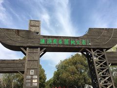 门面-溱湖国家湿地公园