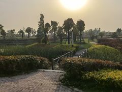 -上海都市菜园