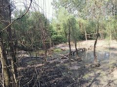 -溱湖国家湿地公园