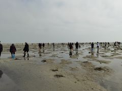 -北海金海湾红树林生态旅游区