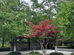 -昆山城市生态森林公园