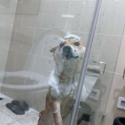 -HEYAN荷妍专业脱毛连锁机构