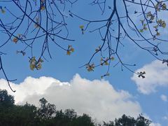 -广州白江湖森林公园