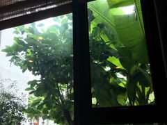 -吴越荣记·苏州菜·松鼠桂鱼(斜塘老街店)