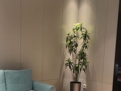 -东方威尼斯温泉酒店