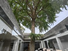 -自如ZSPACE四合院艺术餐厅