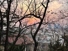 -信号山公园