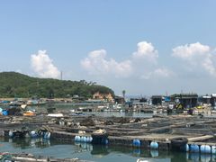 -西澳岛