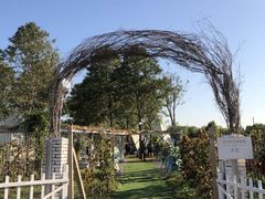 -安德鲁户外烧烤帐篷营地(马泉营店)