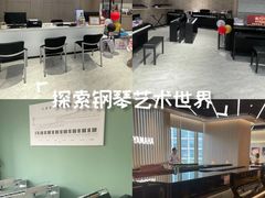-知音艺术教育培训·钢琴培训·音乐培训(河西金鹰世界校区)