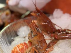 -红盔甲·小龙虾(天钥桥店)