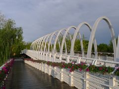 -大兴滨河森林公园