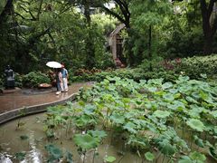 -香港大学