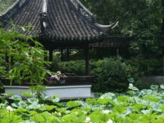 -上海醉白池公园