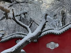 -水磨沟公园