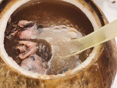 原只椰子炖竹丝鸡-達揚原味燉品(文明路店)