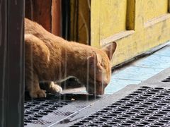 -Larp Silom 3