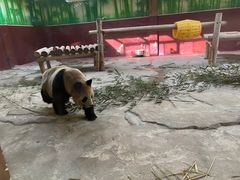 -杭州野生动物世界