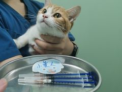 -东莞宠友24H宠物中心医院·转诊夜诊·异宠(新河北路院)