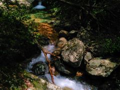 -祁门牯牛降观音堂风景区